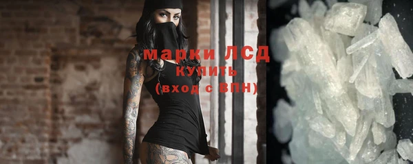 ГАЛЛЮЦИНОГЕННЫЕ ГРИБЫ Рославль