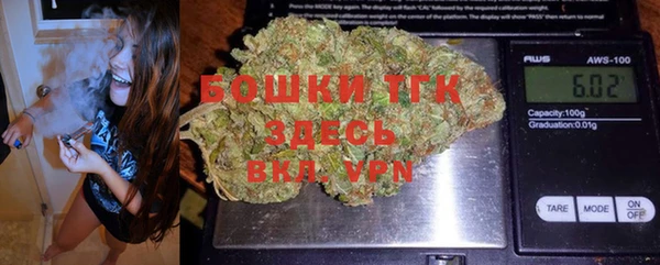 стаф Ельня
