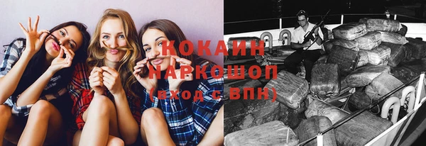 ГАЛЛЮЦИНОГЕННЫЕ ГРИБЫ Рославль